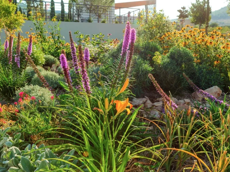 Botanicki 10